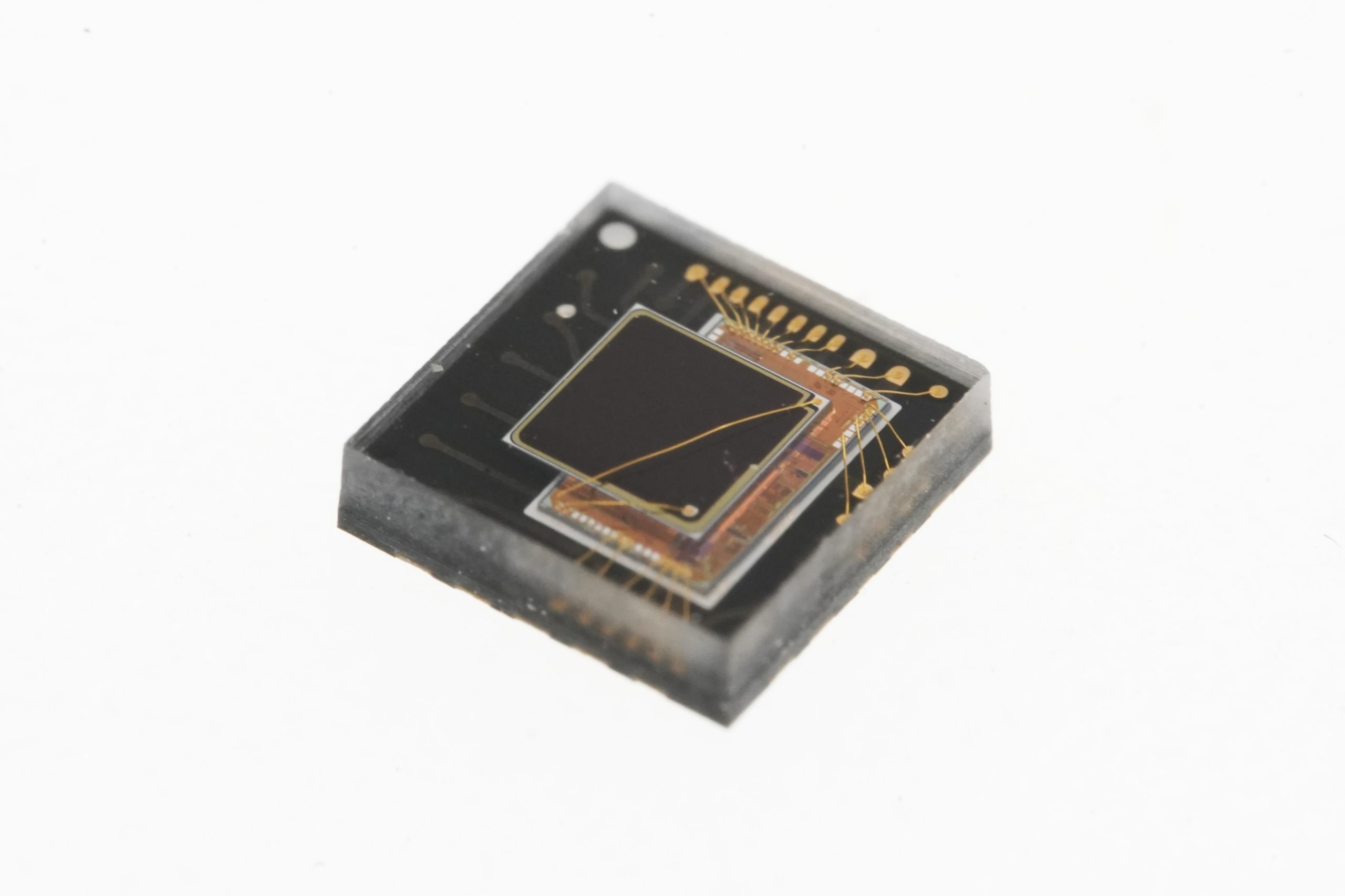 ZSBM800X Chip Diagram