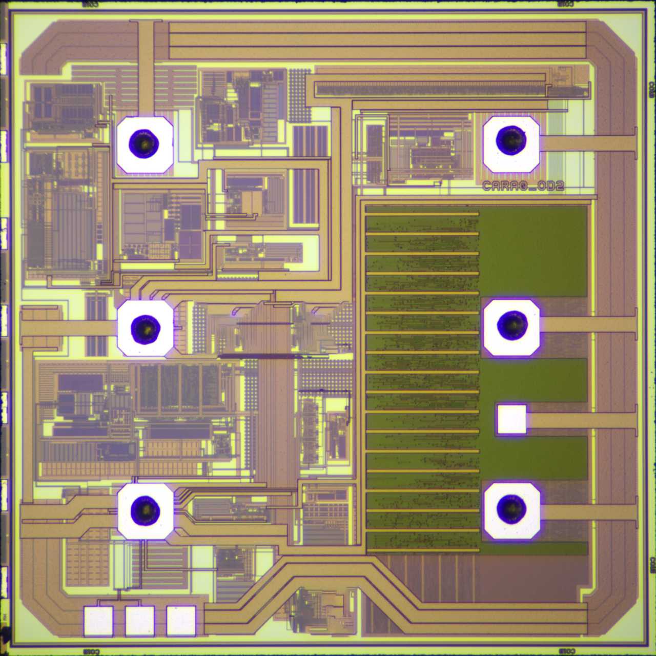 ZSFS100X Chip Diagram