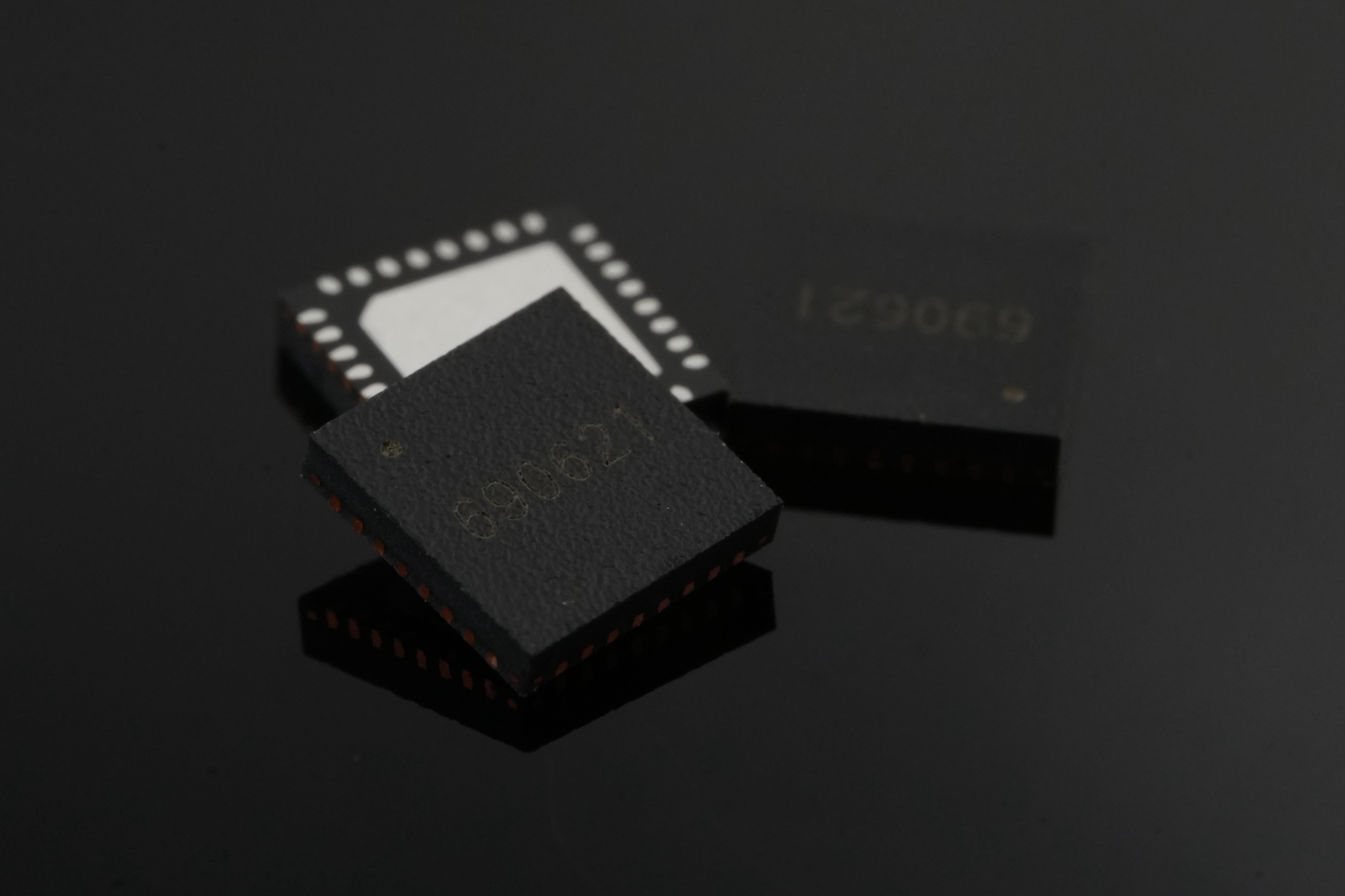 ZSBM100X Chip Diagram
